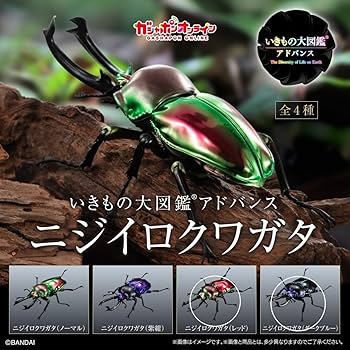 Amazon.co.jp: いきもの大図鑑アドバンス ニジイロクワガタ レッド 1体