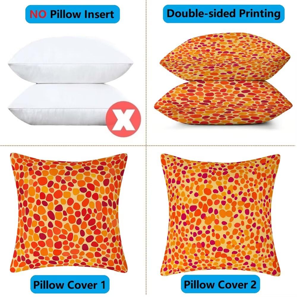Federe Cuscini da Esterno Impermeabili 65x65 Arancione Copri Cuscini per Divano Astratto Federa Cuscino Moderno Decorativi Copricuscini per Divano Giardino Soggiorno Copricuscino Set di 2 (IU331)