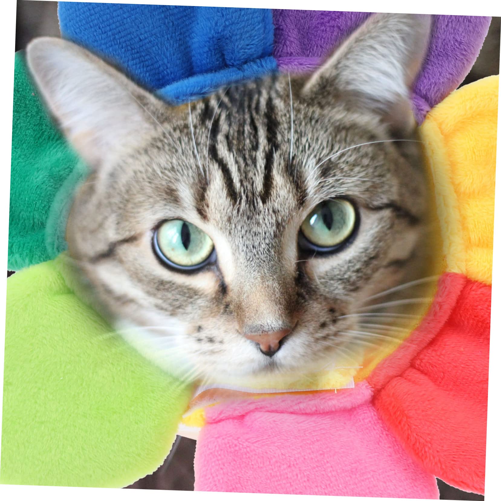Sonnenblumen-Hut Für Hunde & Katzen – Lustiges Haustier-Kostüm Für Halloween & Fotos