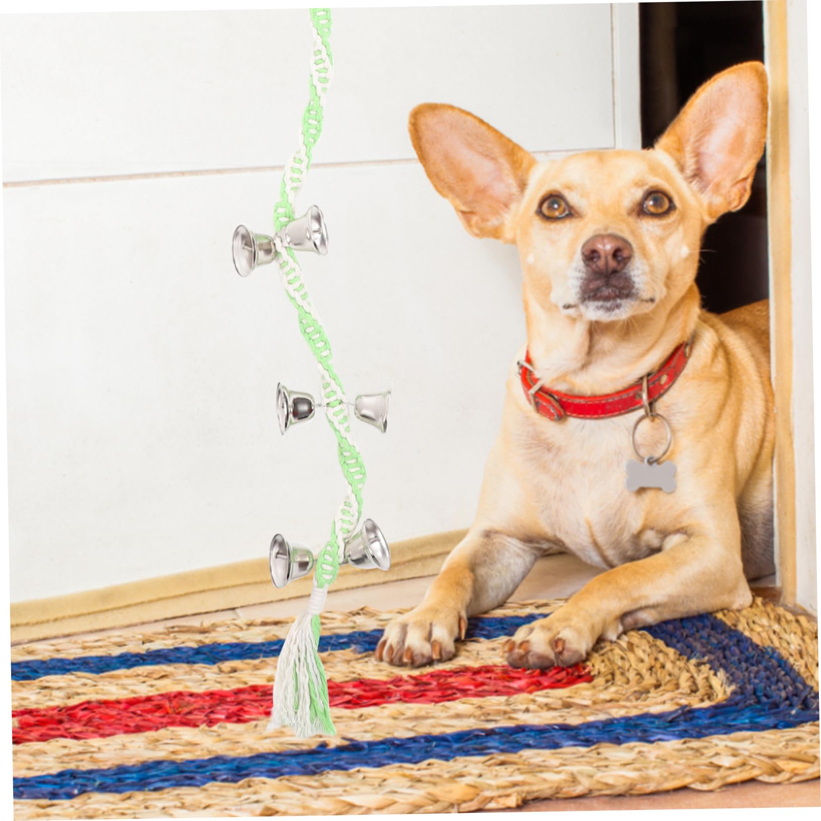 Hemoton Dog Door Bell Potty Training Bells for Dogs Cat Toys Lanyard Portable Training