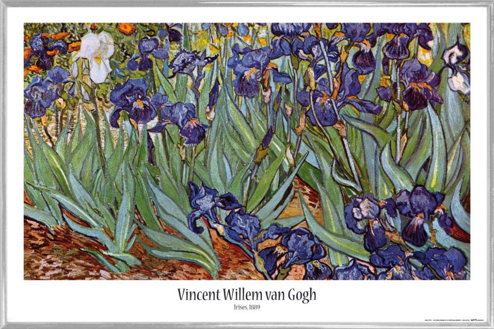 Vincent Van Gogh poster Les Iris avec cadre prêt à poser pour masquer un mur vide