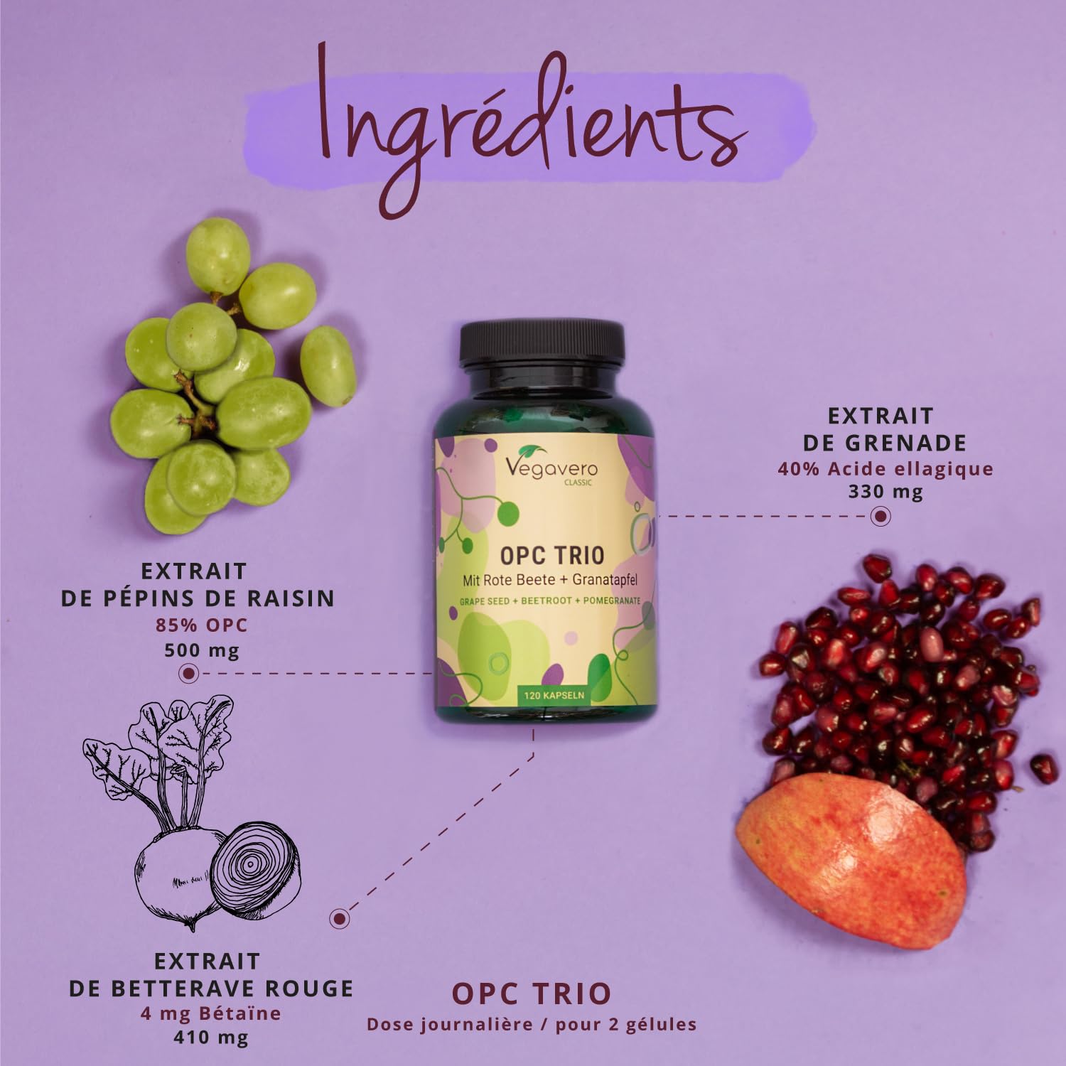 OPC Extraits de Pépins de Raisin | Antioxydant Puissant & Santé Cardiovasculaire | Avec Betterave Rouge & Grenade | Sans Additif & Vegan | 120 Gélules | Vegavero®