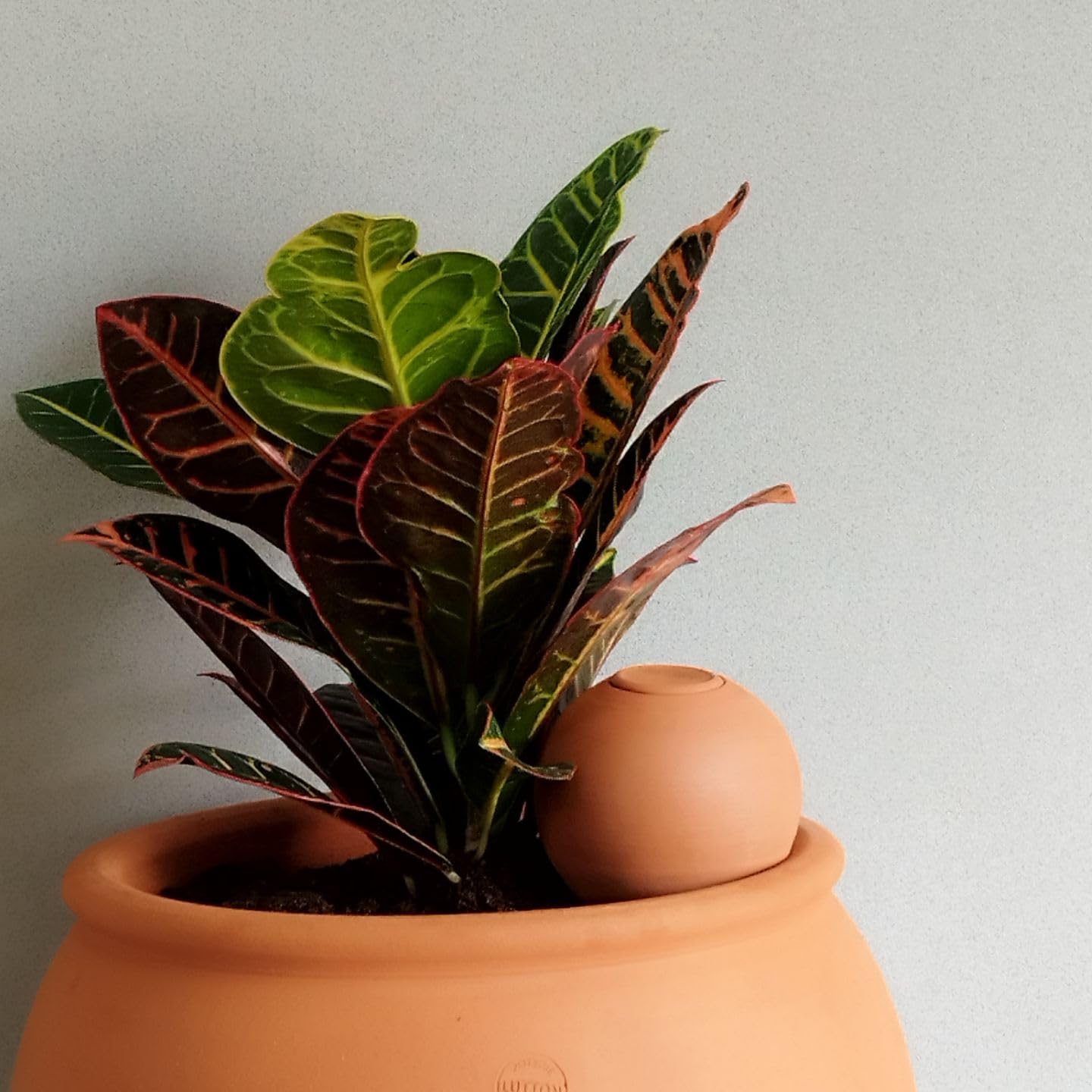 Coffret Ollas à Planter Décoré — Mini Olla 25 cl + Olla Rouge 40 cl + Olla Blanche 40 cl — Plantes d’Intérieur et Aromatiques — Fabrication Artisanale Française — Terre Cuite