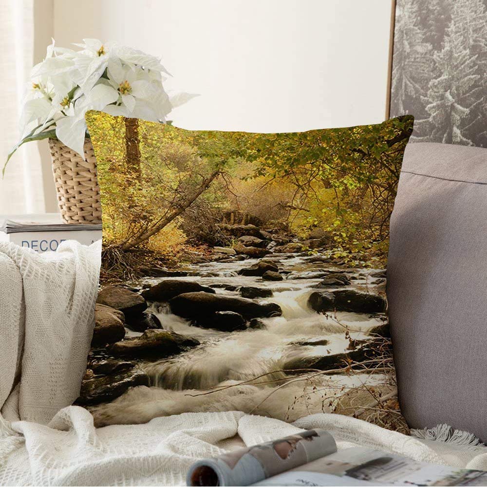 Pillow Cover Fall Crazy Over Woman Creek Miscellaneous Nature Flowing Abstract Wyoming Water Landscape Running Decorative Throw Pillows Cushion Cover for Bedroom Sofa Living Room 18x18 Inch
