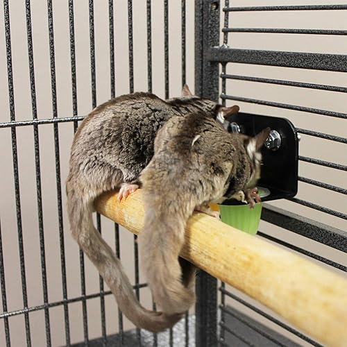 Miniatura 5 de Cápsulas de néctar (paquete de 4 variedades)  Golosinas de frutas fortificadas con calcio  Planeadores de azúcar, titíes, ardillas, loros, cacatúas,