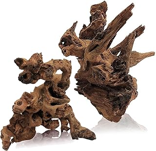 Tfwadmx Aquarium Natural Driftwood Decor Wood Branches, 2 Pieces 8.5-12" Fish Tank Driftwood Decoration, Terrarium Mopani Wood for Aquarium Freshwater Reptile Tank