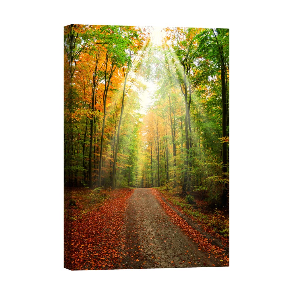Tableau nature luminescent DCL237-2 déco 80x120 cm