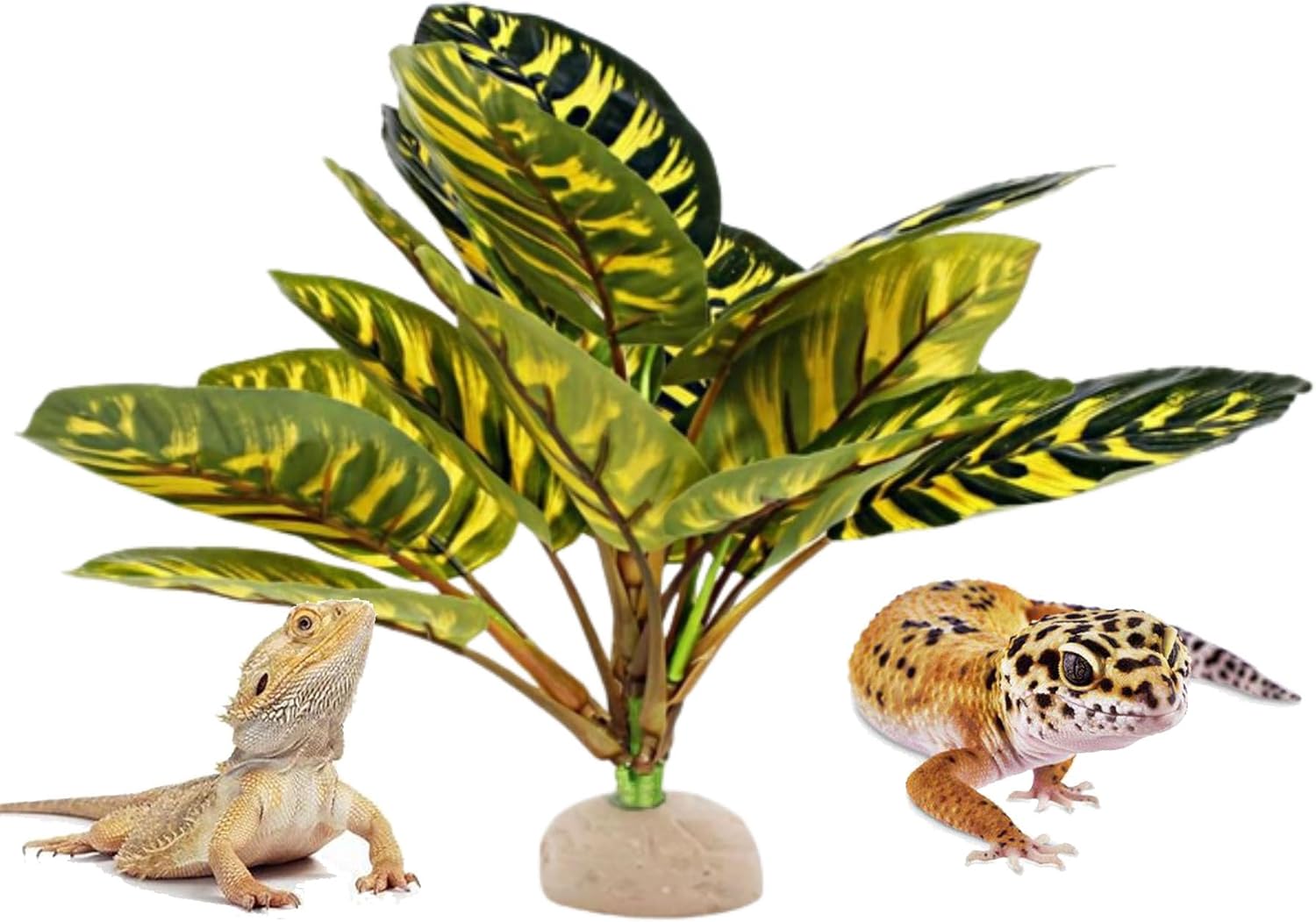 Reptile Terrarium Decor Plants,Amphibian Habitat Decor,Fake Plants for Bearded DragonTank Accessories fit Leopard Gecko Lizard Chameleon Snake Tortoise (Calathea makoyana -C)