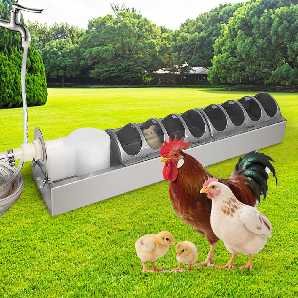 Regadera automática de pollo, comedero de acero inoxidable para aves de corral para patos y gansos, comedero de granja