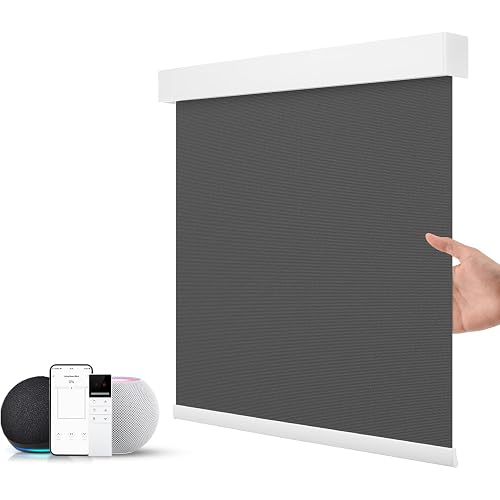 ZSTARR Motorized Blinds with Remote Blackout Smart Roller Blind Dark Grey