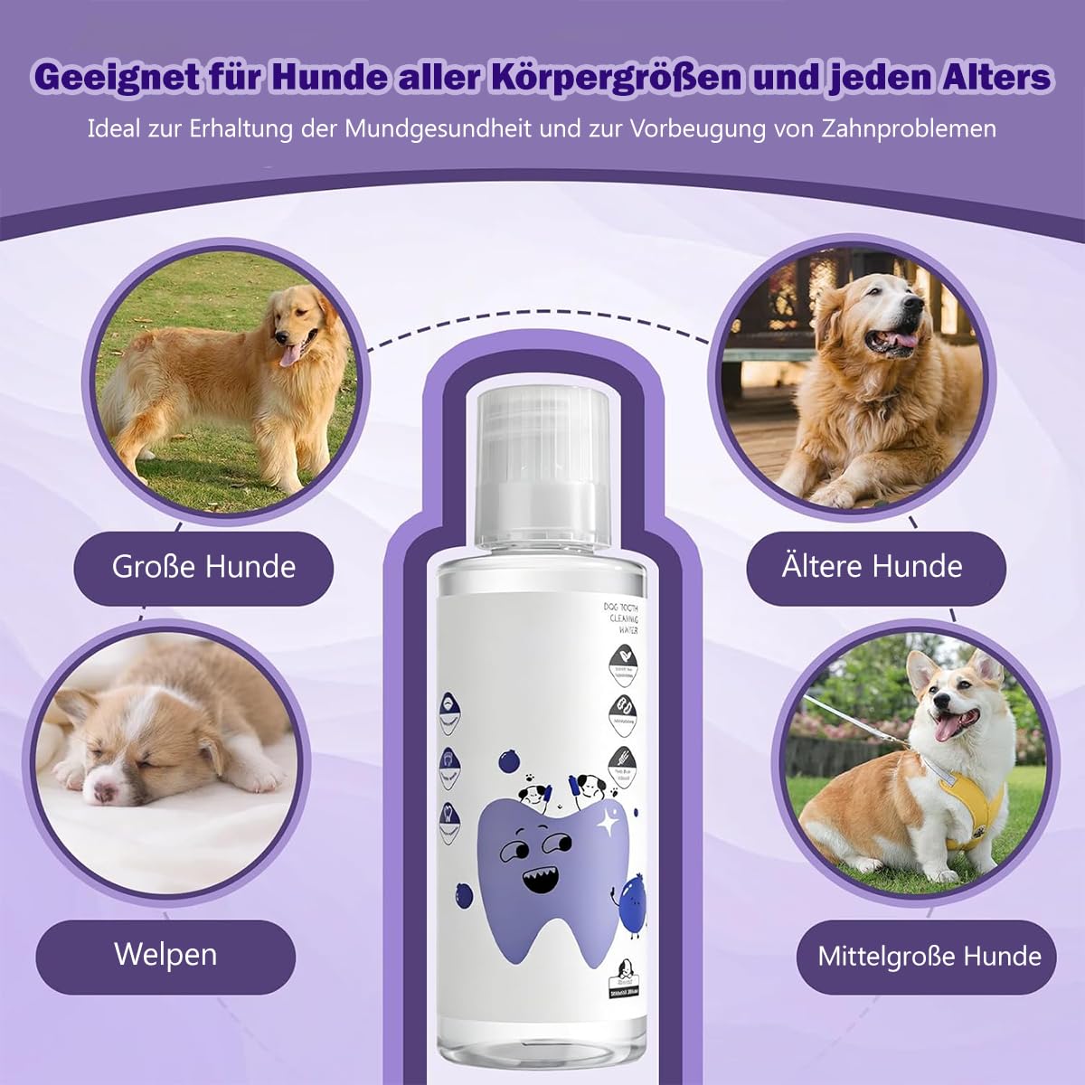 Paw Bright Dental Plus Zahnpflege für Haustiere geruchs und geschmacksneutrale Formel zur Bekämpfung von Zahnstein fördert gesundes Zahnfleisch und erfrischt den Atem (200ml*3)