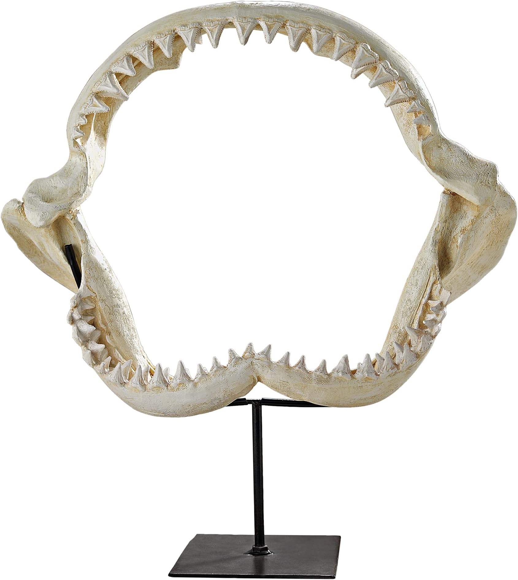 Design Toscano Shark's Jagged Jaws Statue