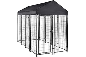 Outdoor Dog Kennels for Large Dogs: Spacious and Secure Protection for Canine Companions