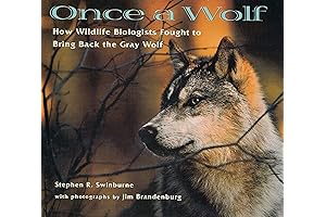 Once A Wolf: How Wildlife Biologists Fought to Bring Back the Gray Wolf