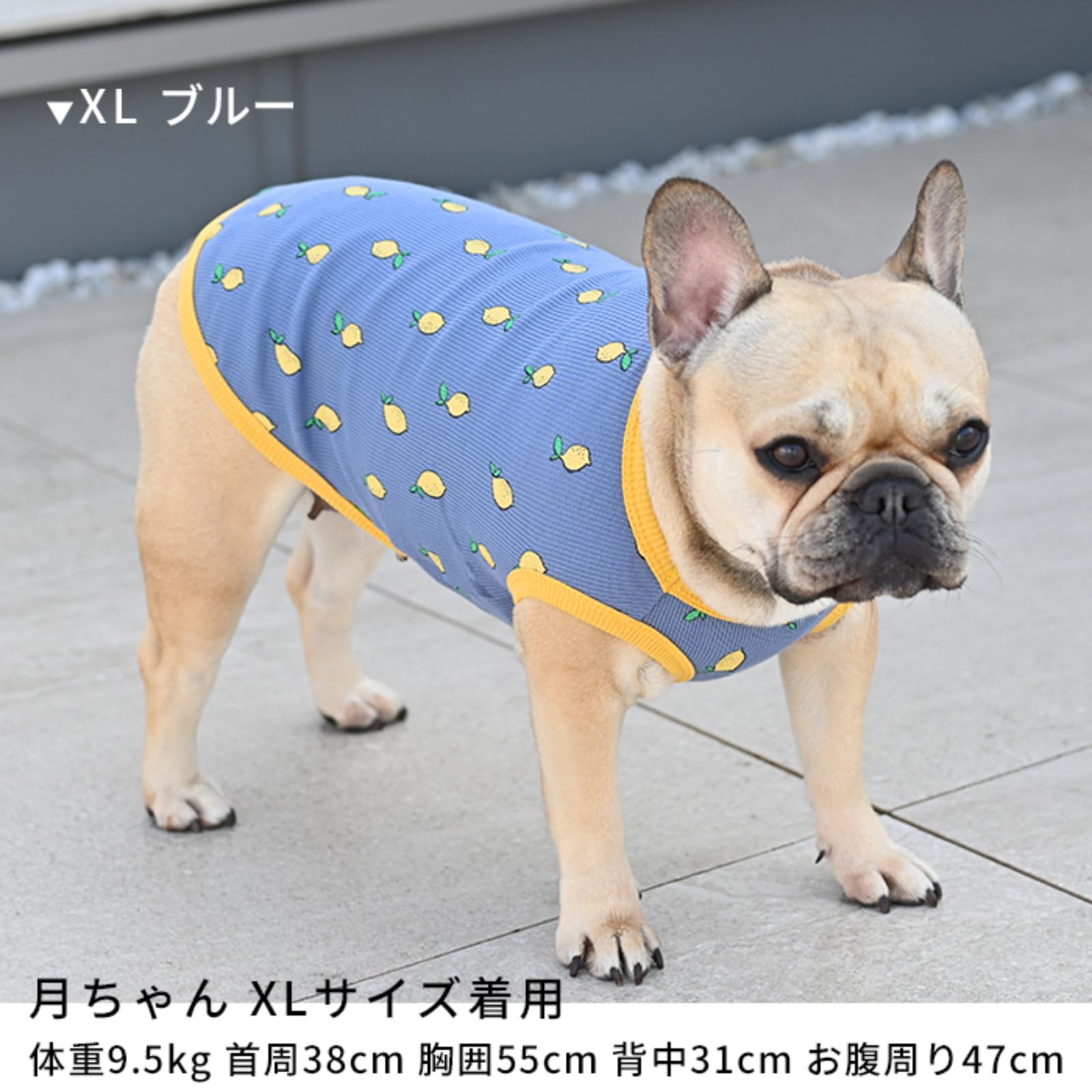 Amazon | [FRENCH FRENCH]犬服 夏 レモン タンクトップ 春 フレンチ 