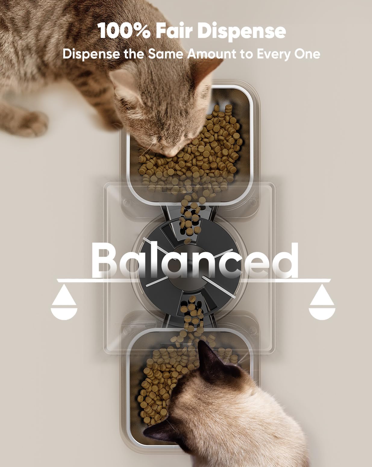 oneisall 5L mangiatoia automatica per gatti 2 ciotole, mangiatoia per gatti con un solo pulsante, facile da usare, distributore di cibo per gatti/cani, con ciotola in acciaio inox, registratore vocale