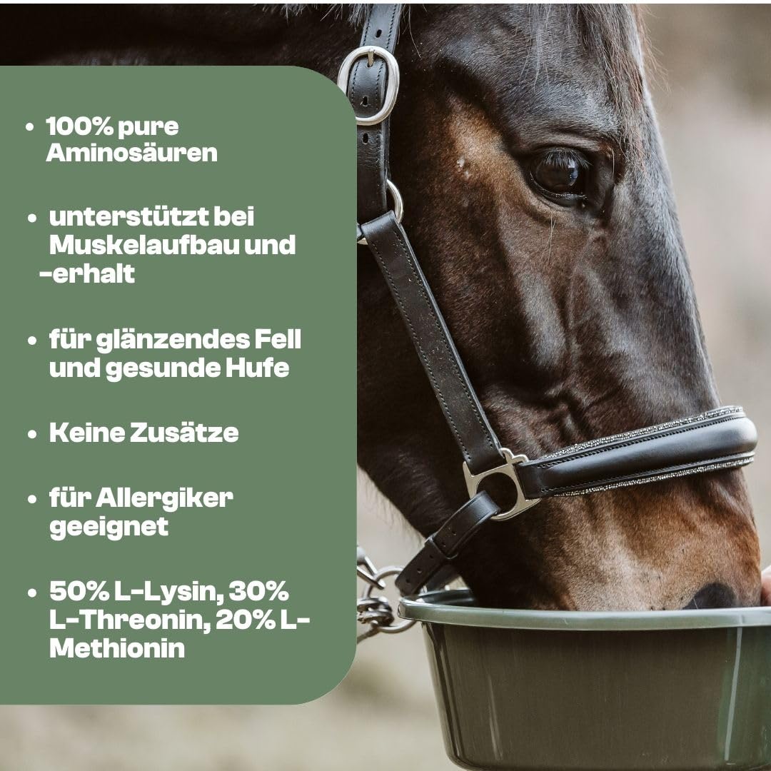 Aminosäuren Basismix für Pferde, 100% Reine dopingfreie L-Aminosäuren, 650g Monatspackung