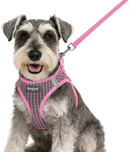Eagloo Small Dog Harness and Leash Set, Step in Puppy Vest with Breathable Soft Mesh, Walking Reflective Pet Harness for Small Dogs, Pink, S
