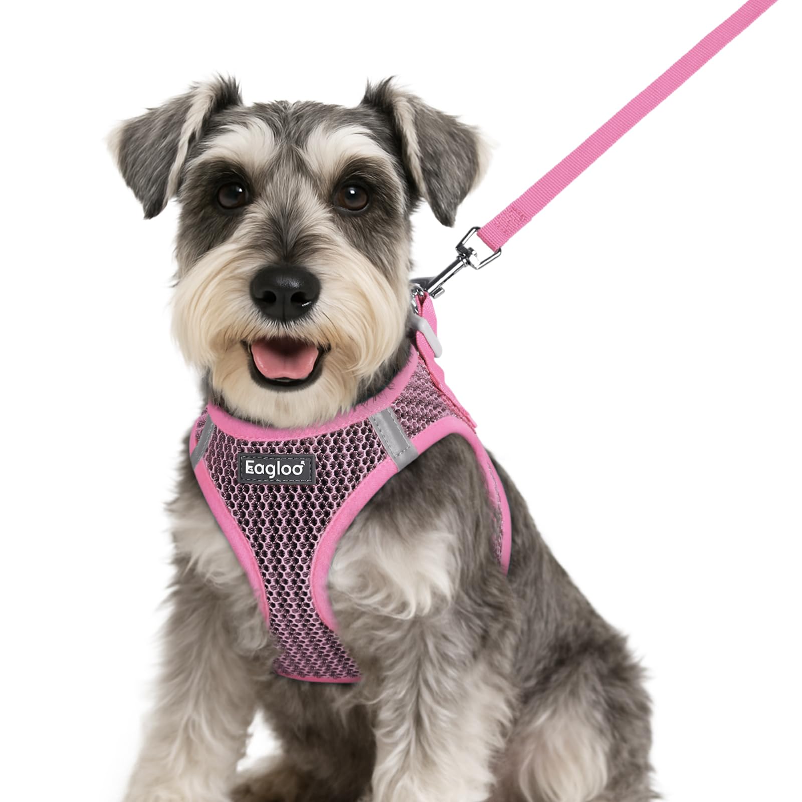 Eagloo Small Dog Harness and Leash Set Pink Small