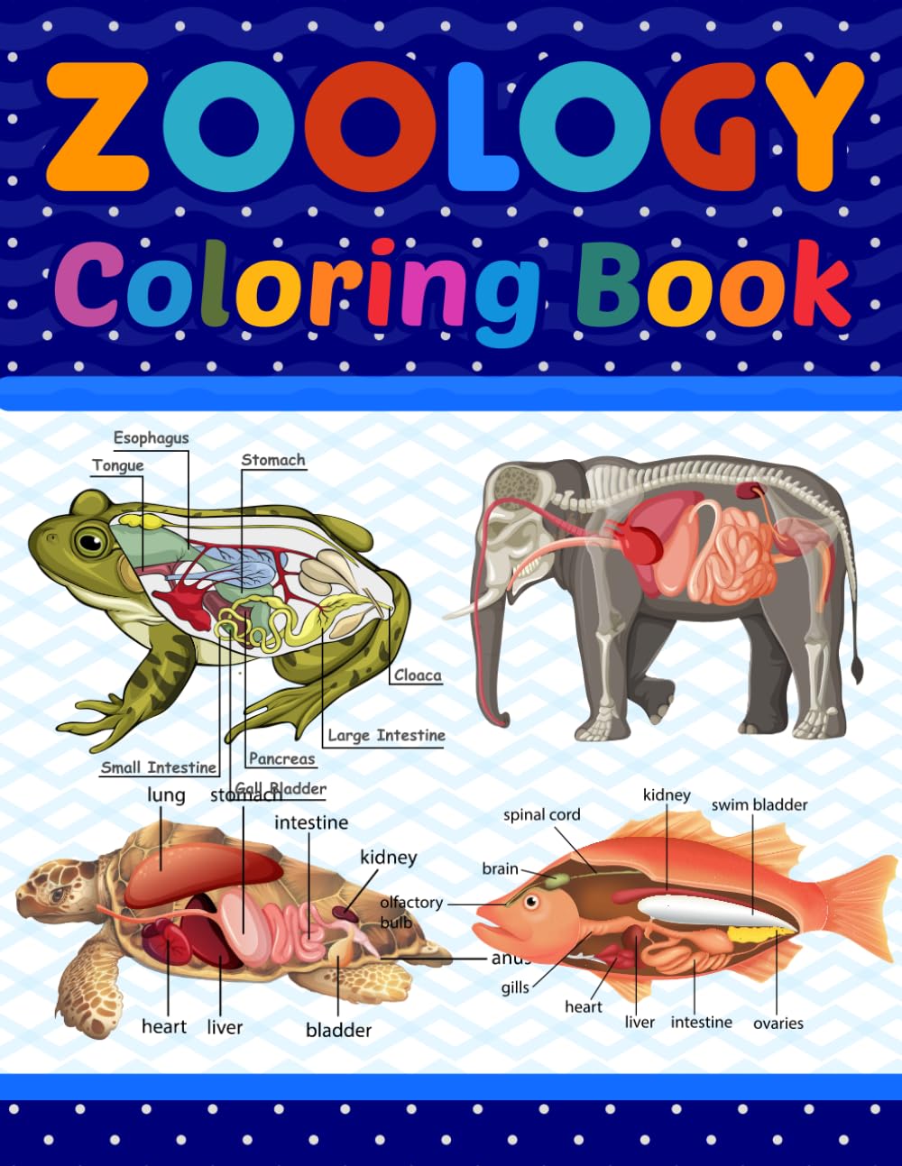 Zoology Coloring Book: Medical Anatomy Coloring Book for kids Boys and Girls. Zoology Coloring Book for kids. Stress Relieving, Relaxation & Fun ... Zoology Coloring Workbook for Kids & Adults.