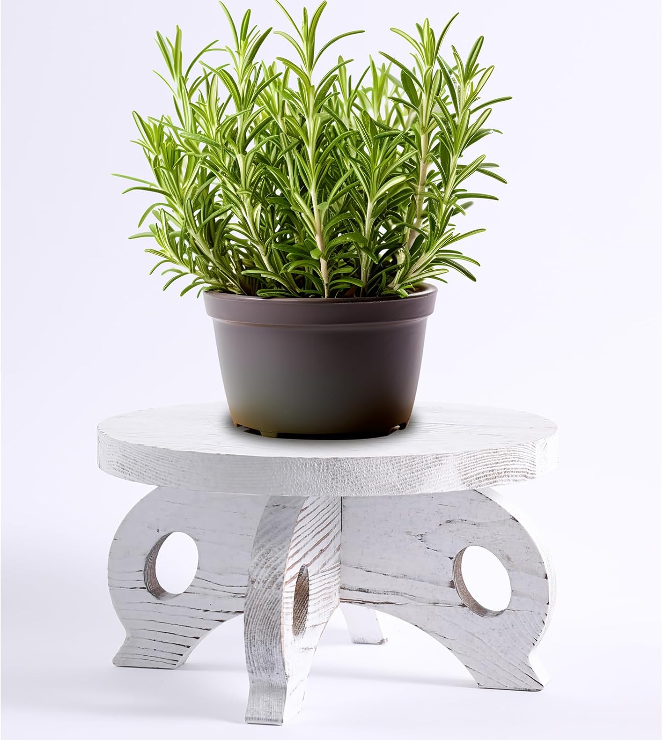White Wooden Plant Stands Indoor Riser Round Display Stands Farmhouse Display Stool Flower Holder Pedestal Board Pine White Pine