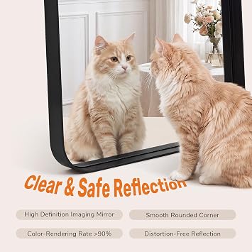 Sweetcrispy Bathroom Wall Mirror, 30x22 Inch Mirror for Over Sink, Black