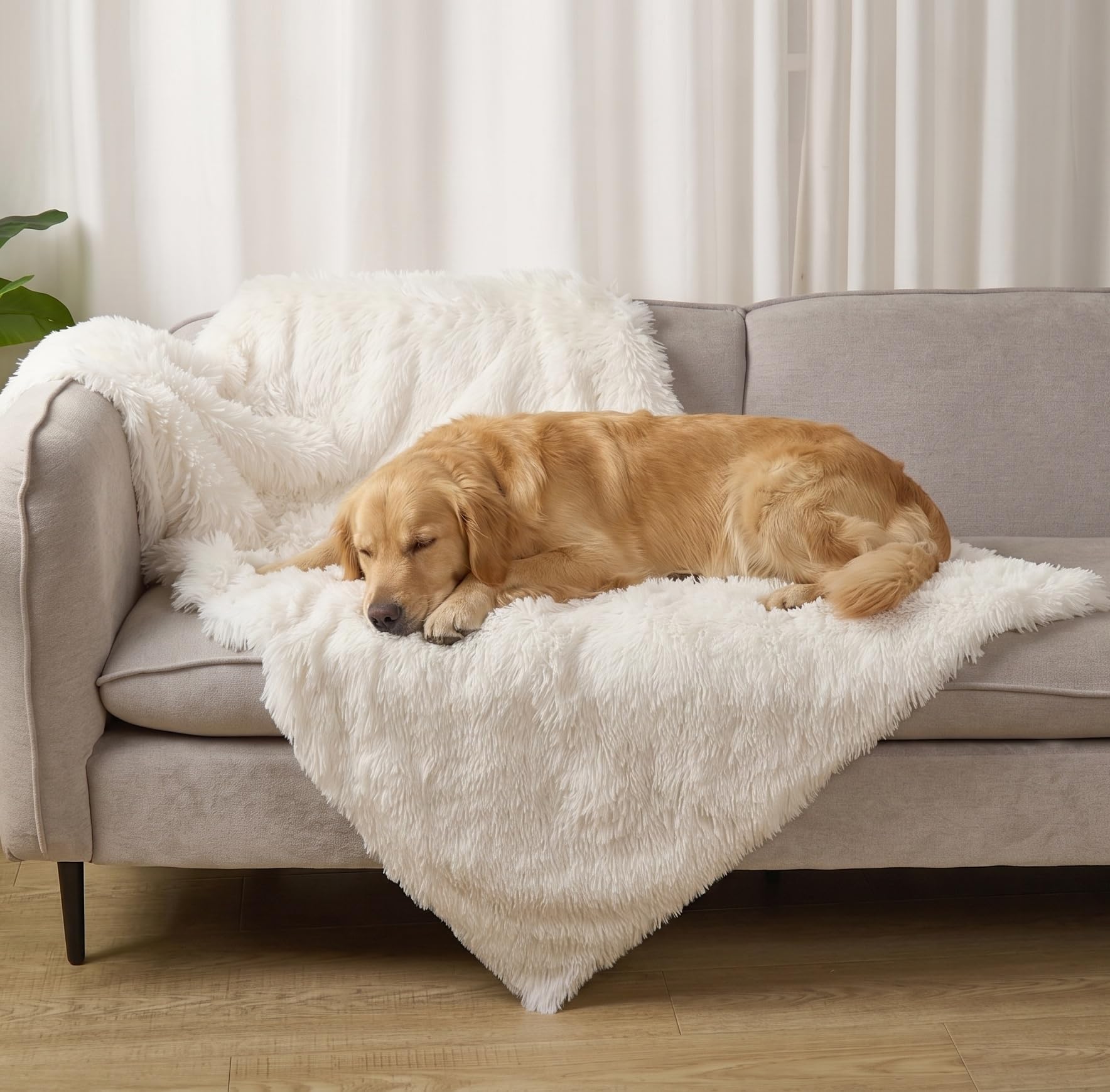 Fuzzl Cloud Comforter Blanket Premium Plush Pet Comforter Blanket for Dogs & Cats - Ultra Soft Long Pile Calming - 90 x 145cm (36" x 57") Oversized Cream
