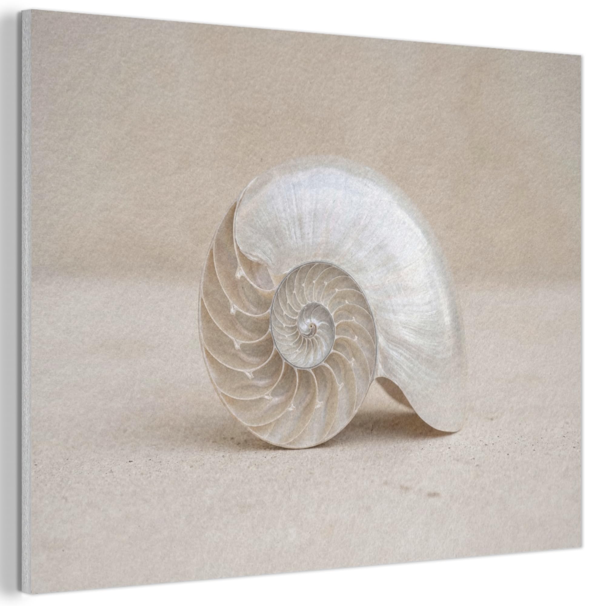 MuchoWow© Felt Panel 100x70 cm Framed Design Print Accent Interior Wallart Decoration Wall Art Shell - Spiral - Beige