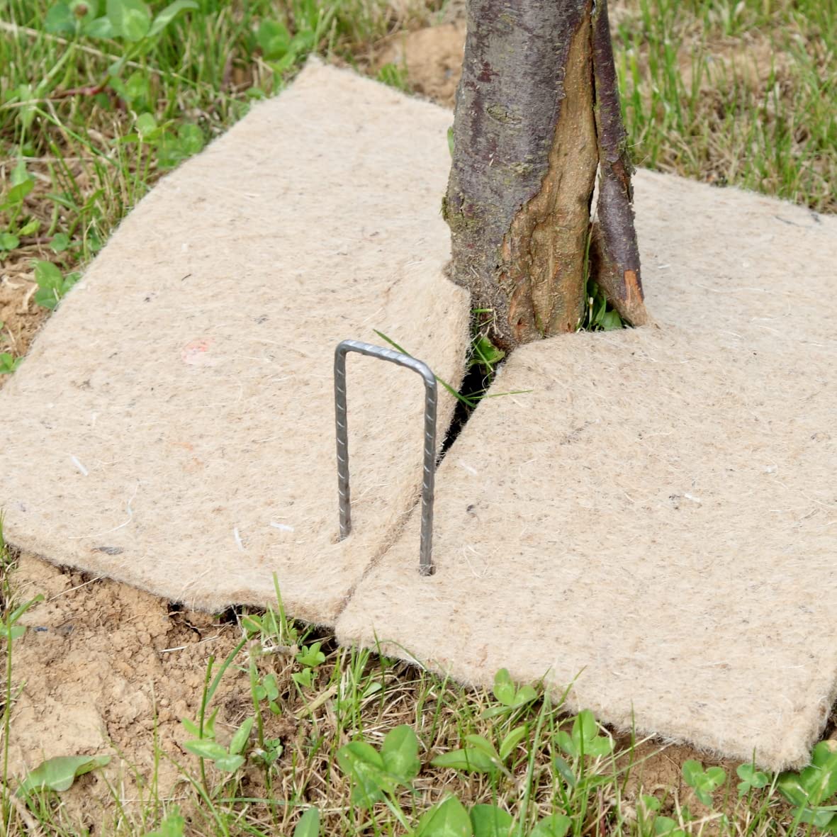 Lot 100 agrafes Acier Galvanisé Crantées Ø4mm Longueur 20cm Largeur 5cm - Agrafes Paillage, Fixation grillage et filets