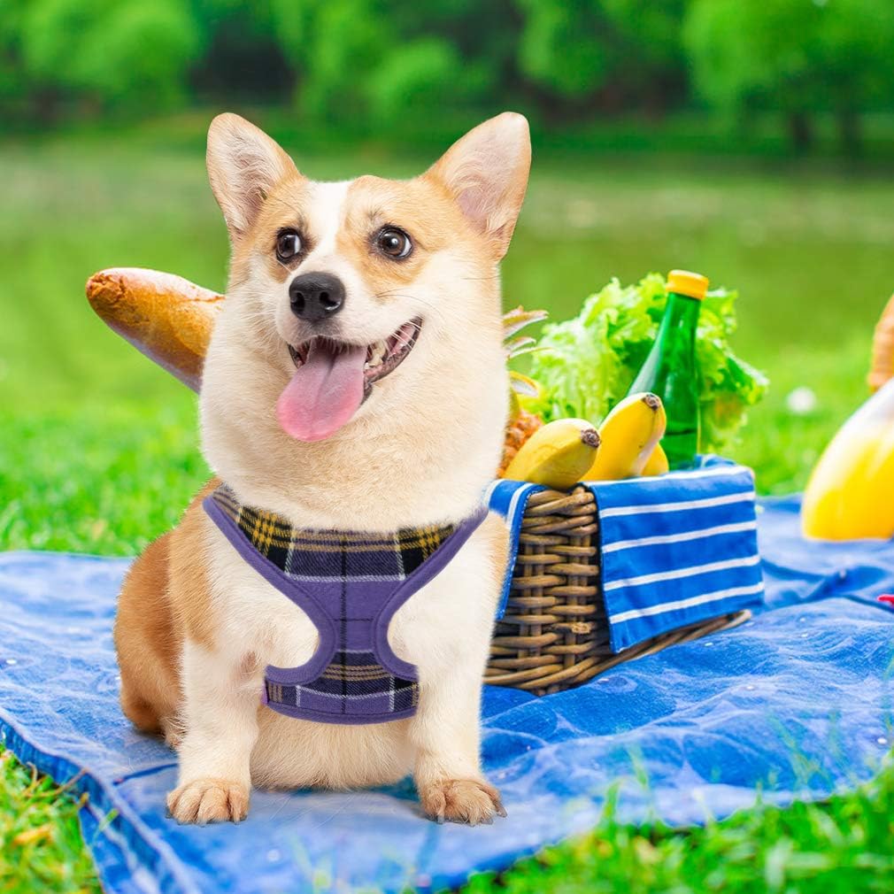 Ringloose No Pull Dog Vest Harness - Soft Mesh for Small Medium Dog Puppy Pets Easy Control Handle for Walking Training