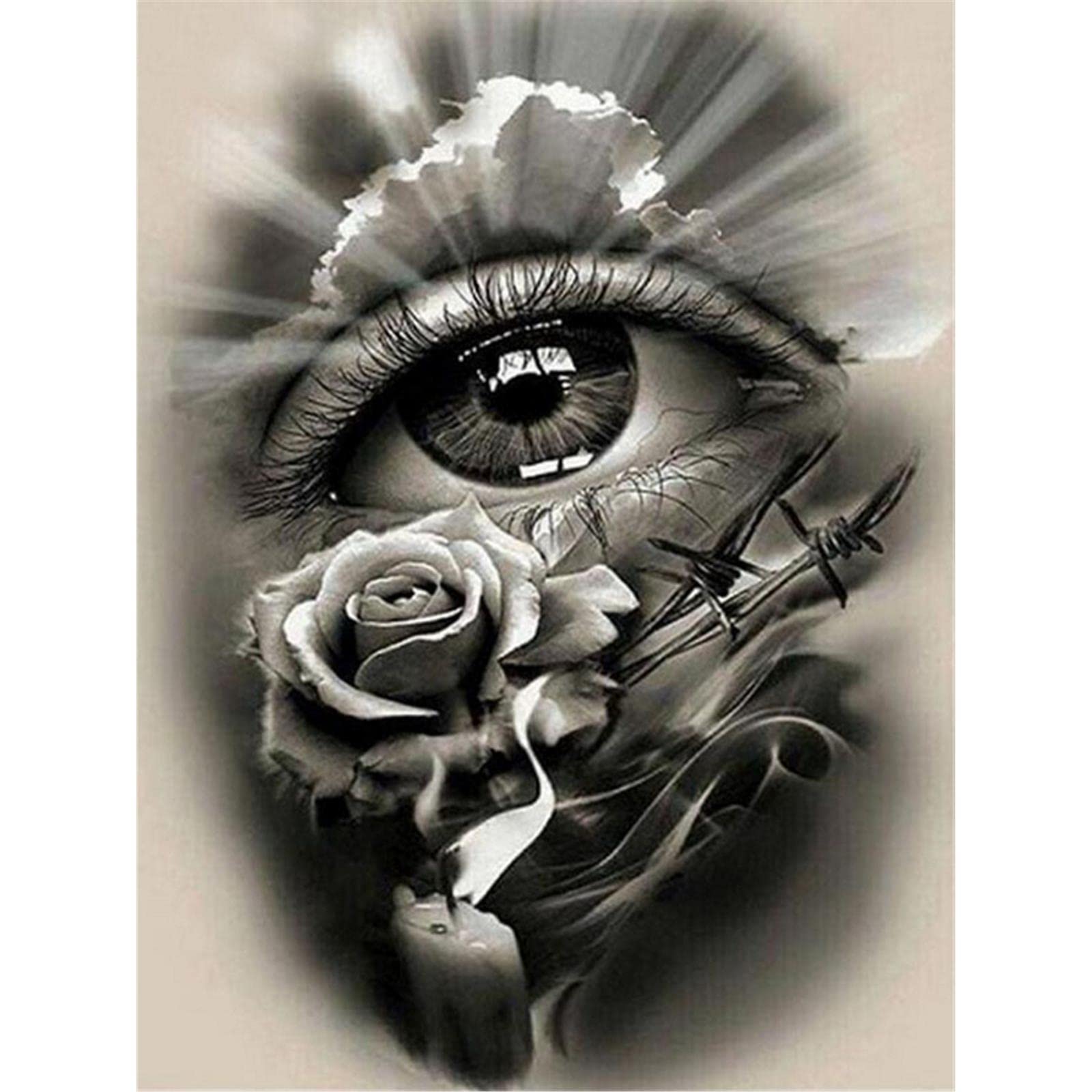 YSCOLOR 5D Diamond Painting Completely Icons Diamond Embroidery Black White Eyes Full Round Drills Crystal Rhinestone Mosaic Kits Rose 11.8X15.8 in/30X40cm