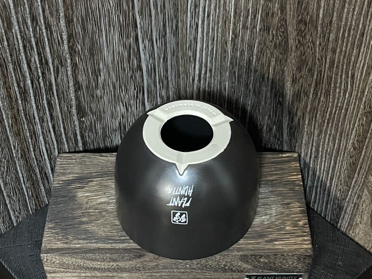 Amazon.co.jp: ⑥少量入荷 PLANT HUNTER 植物ハンター オリジナル 陶器