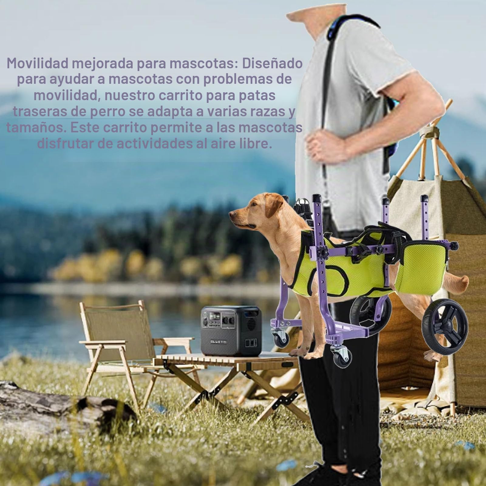 Garsent Silla de ruedas para perros para patas traseras, cochecito para perros, 4 ruedas integradas 4 ruedas traseras patas para caminar al aire libre y ajustable ayuda para mascotas
