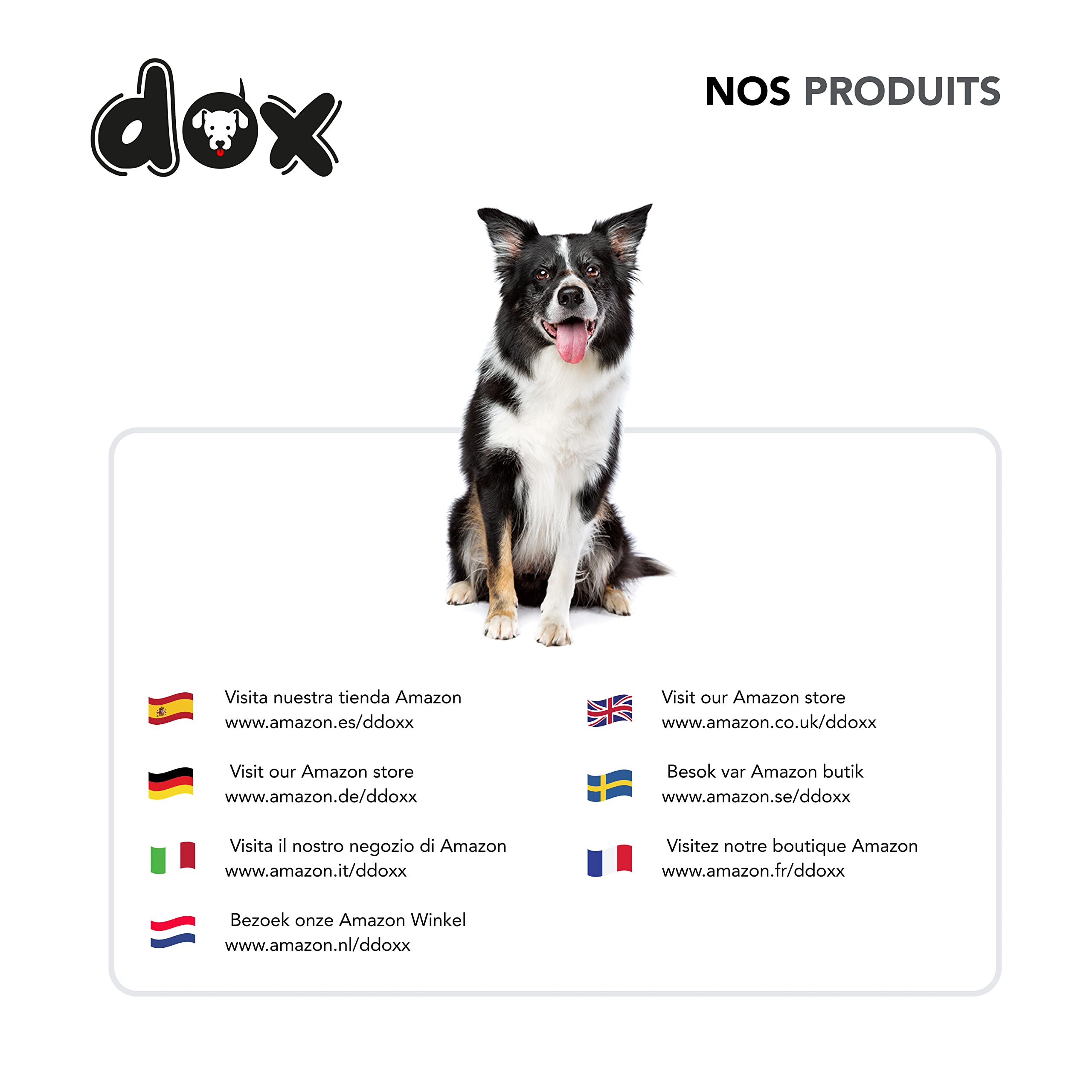 DDOXX Laisse Chien Nylon Réfléchissante, Réglable en 3 Position, 2 m | Nombreuses Couleurs & Tailles | pour Petit, Moyen Gros & Grand | Double laisses Ajustable Chat Chiot | M, Noir, 2m