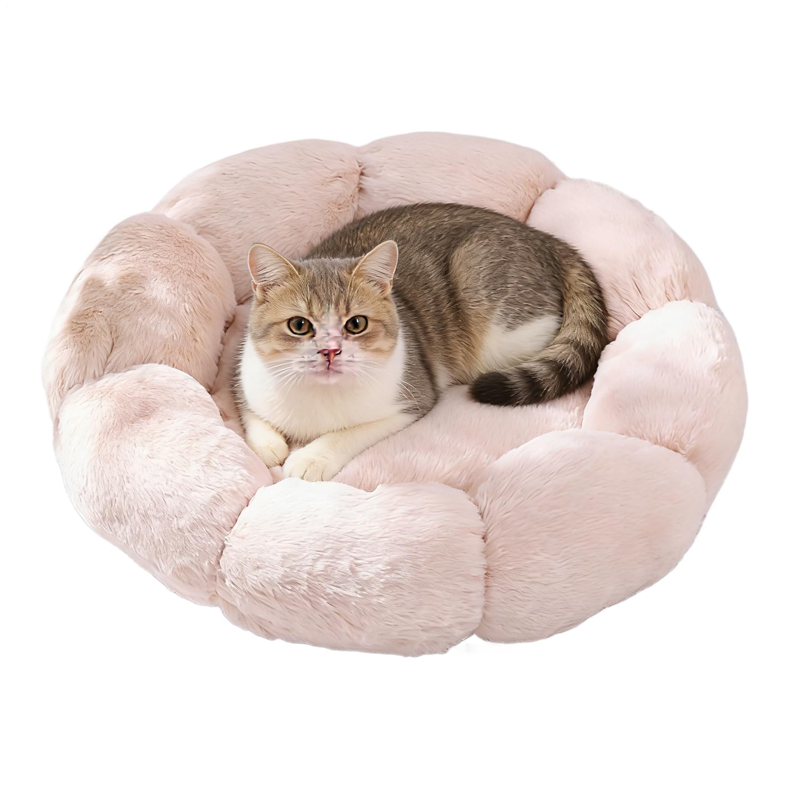 Coussin doux et chaud lavable pour chien avec base anti-dérapante stable