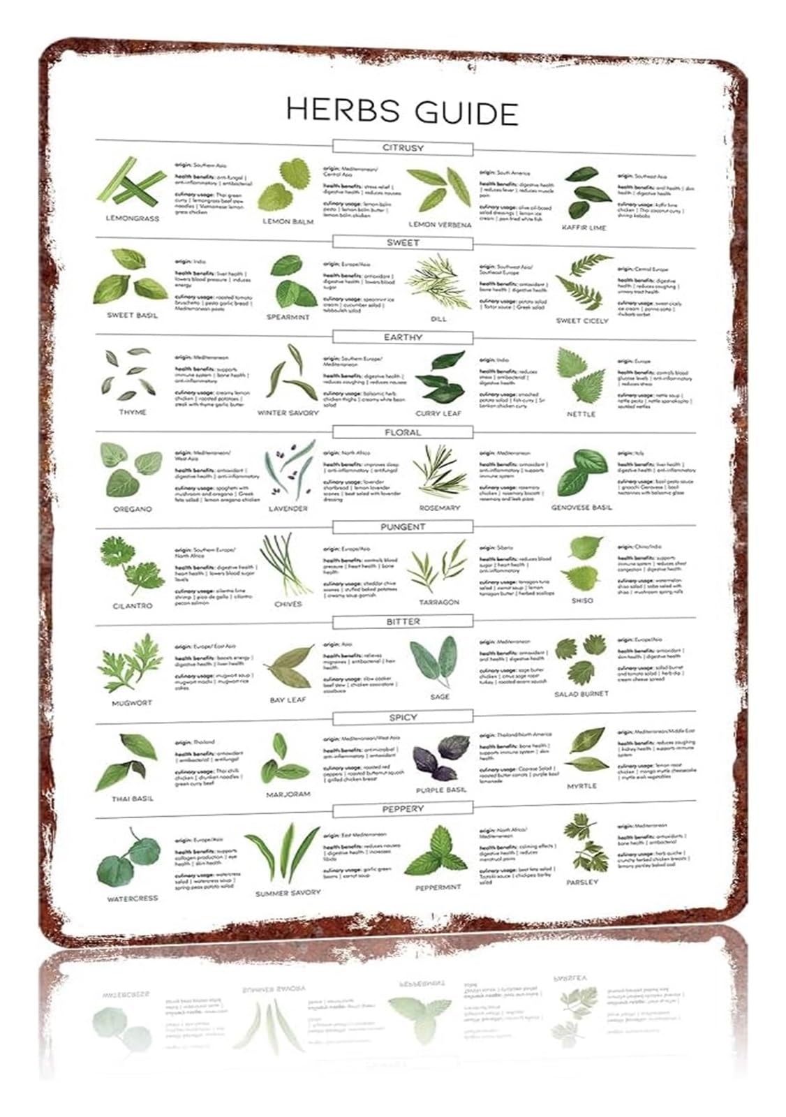 FNYUVNFAF Essential Herbs Guide Metal Tin Sign Funny Vintage Culinary Herb Identification Chart Kitchen Coffee Bar Wall Decor 8 X 12 inch