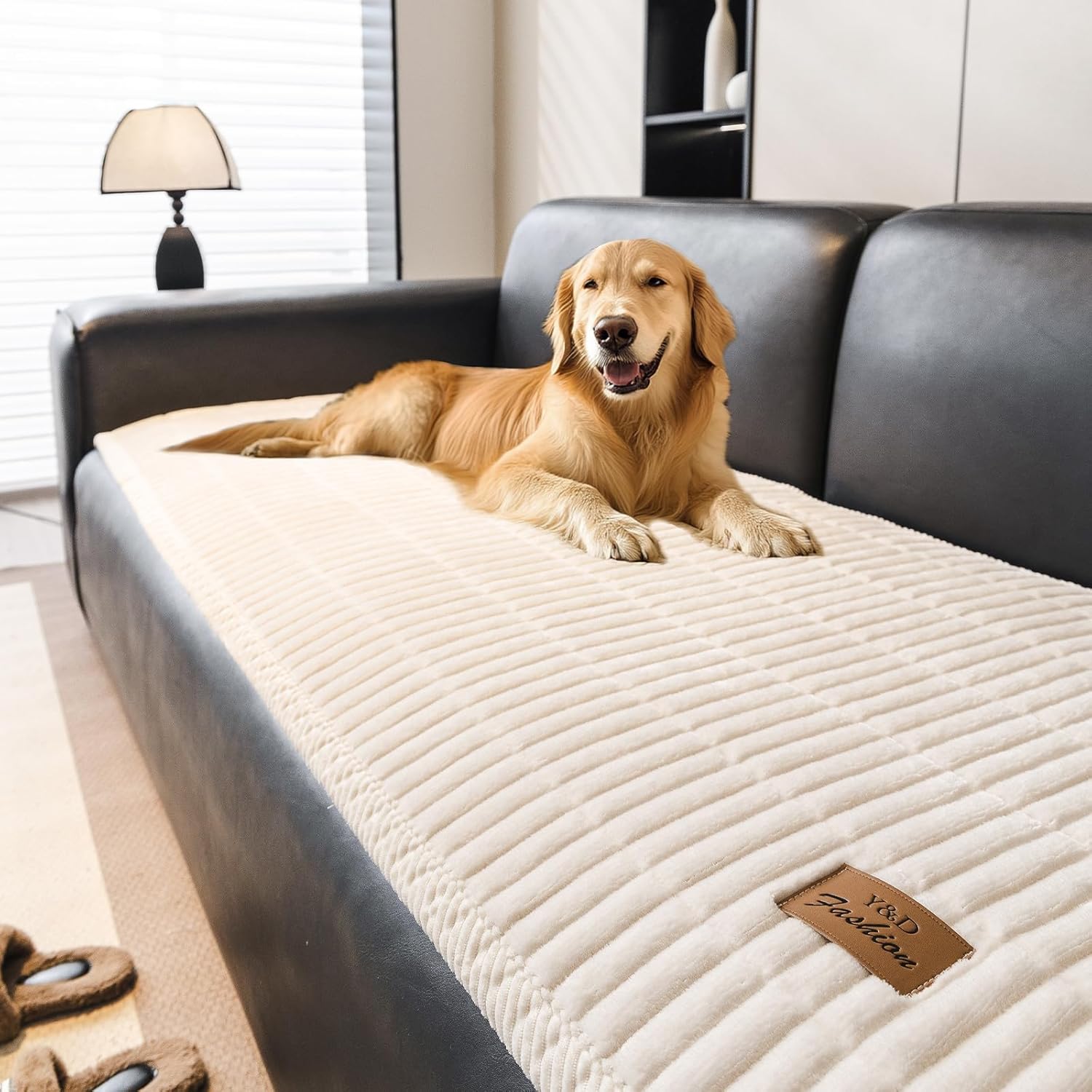 Couch Covers for Dogs, Velvet Dog Couch Cover, Pet Couchs Covers for Loveseat, Couchs Protector for Dogs, Sofa Cover for Pets Washable(1PC, Beige White, 27.5"×59", 2 Seater)