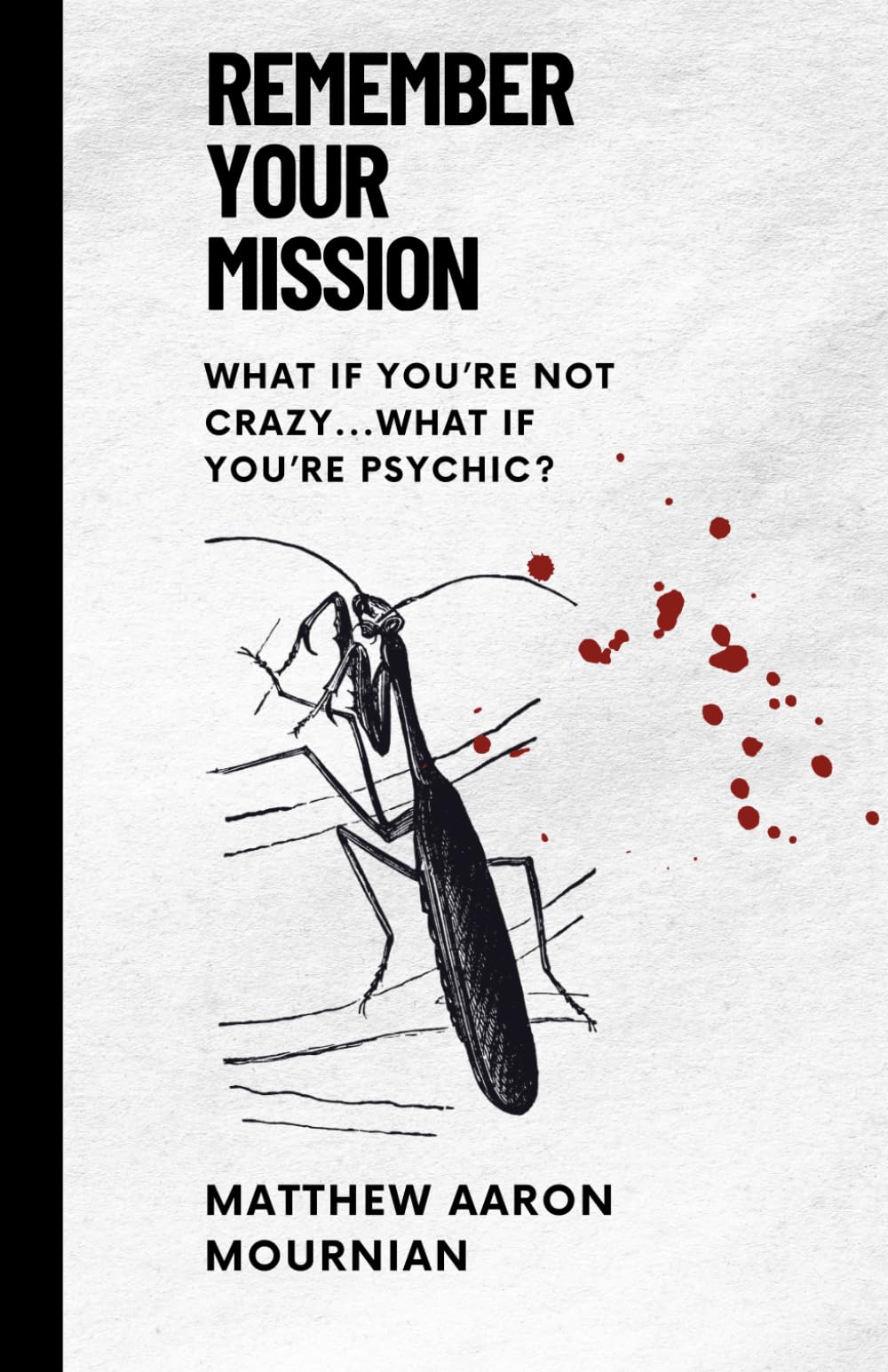 Remember Your Mission: What if you're not crazy, what if you're psychic?