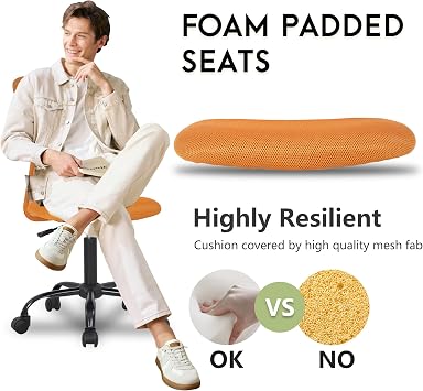BestOffice Ergonomic Office Chair Desk Chair Mesh Computer Chair Armless Back Support Modern Executive Rolling Swivel Chair with Lumbar Support (Orange)