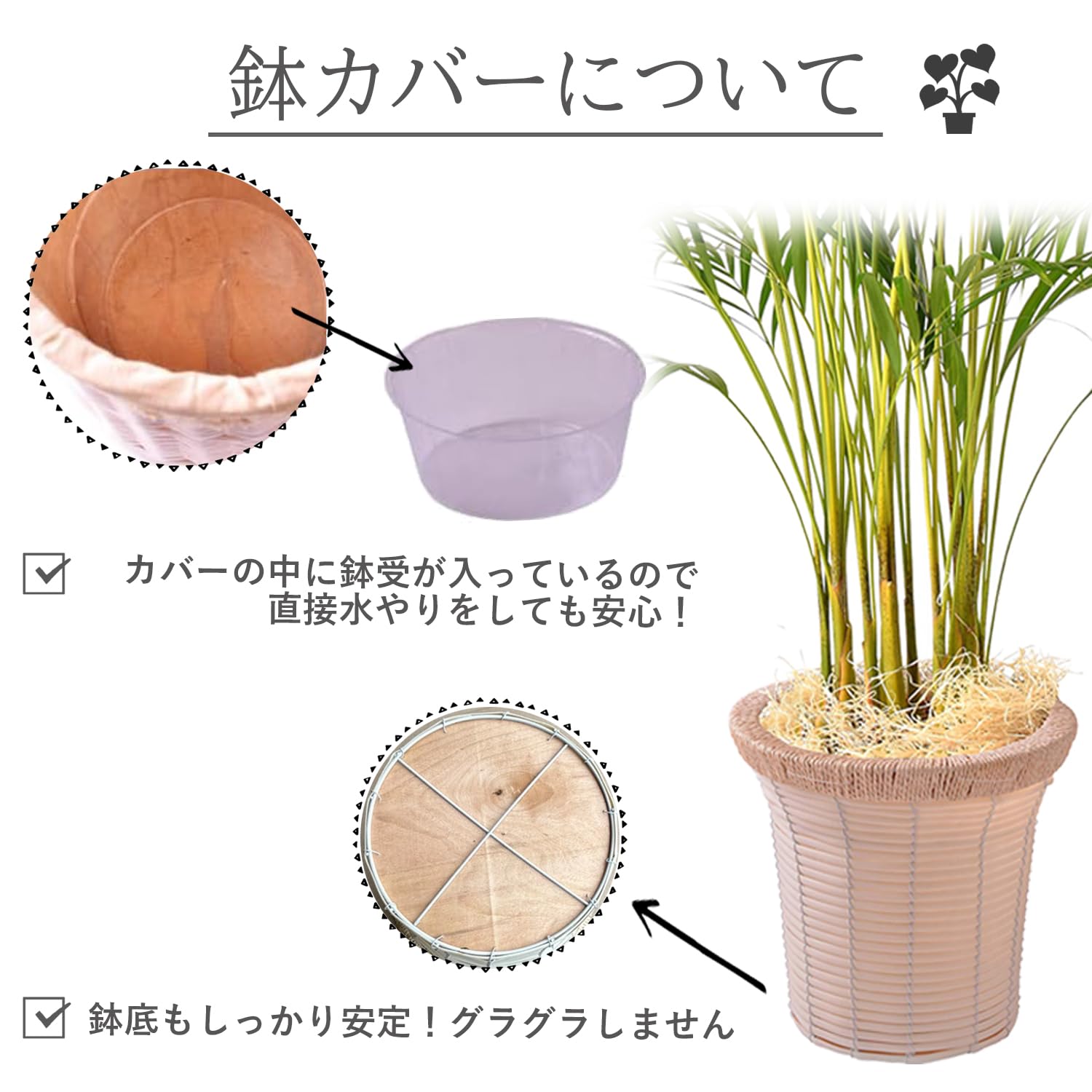 Amazon｜花のギフト社 アレカヤシ 観葉植物 本物 大型 ヤシ 7号 観葉 