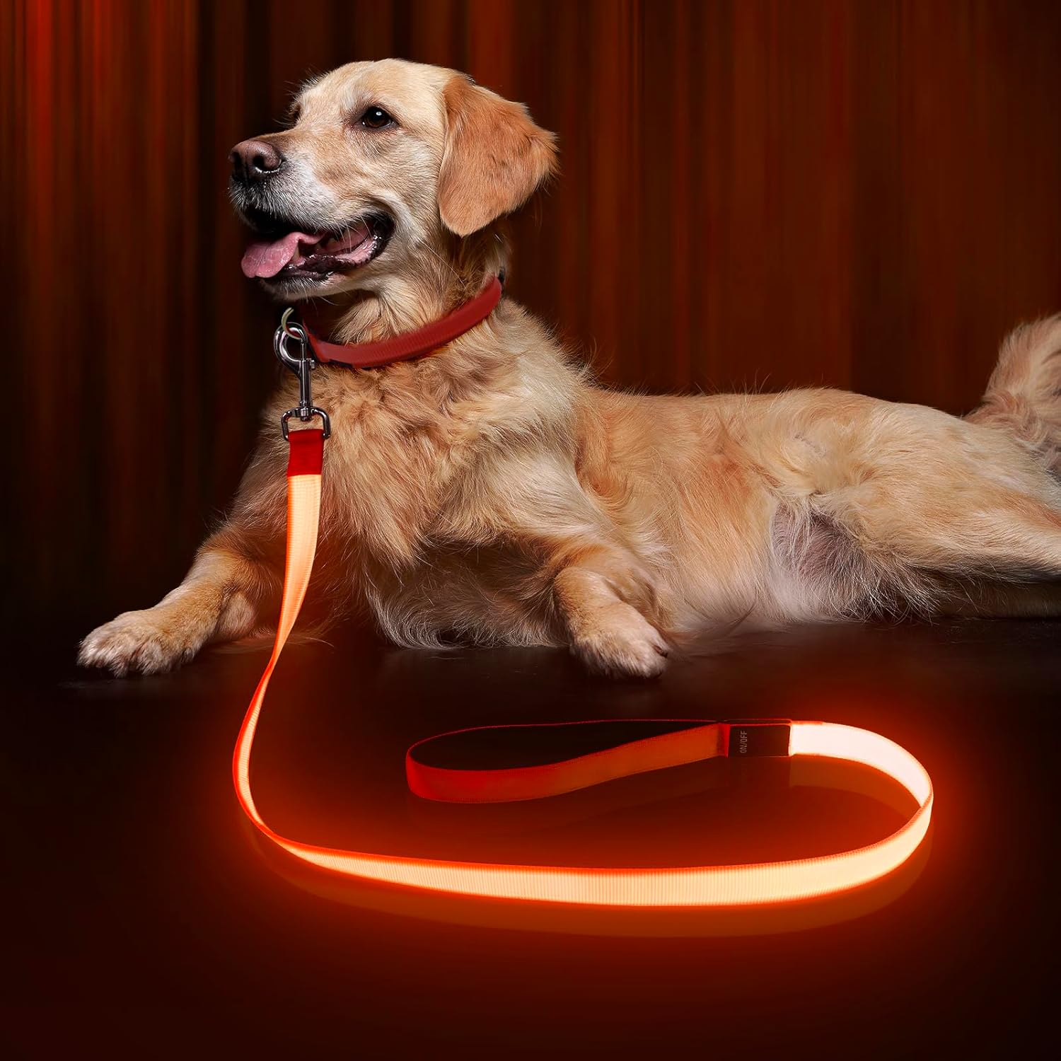 LED Dog Leash 6 Feet Micro USB Rechargeable Nylon Webbing Glow Safety Standard Dog Leash (Green)