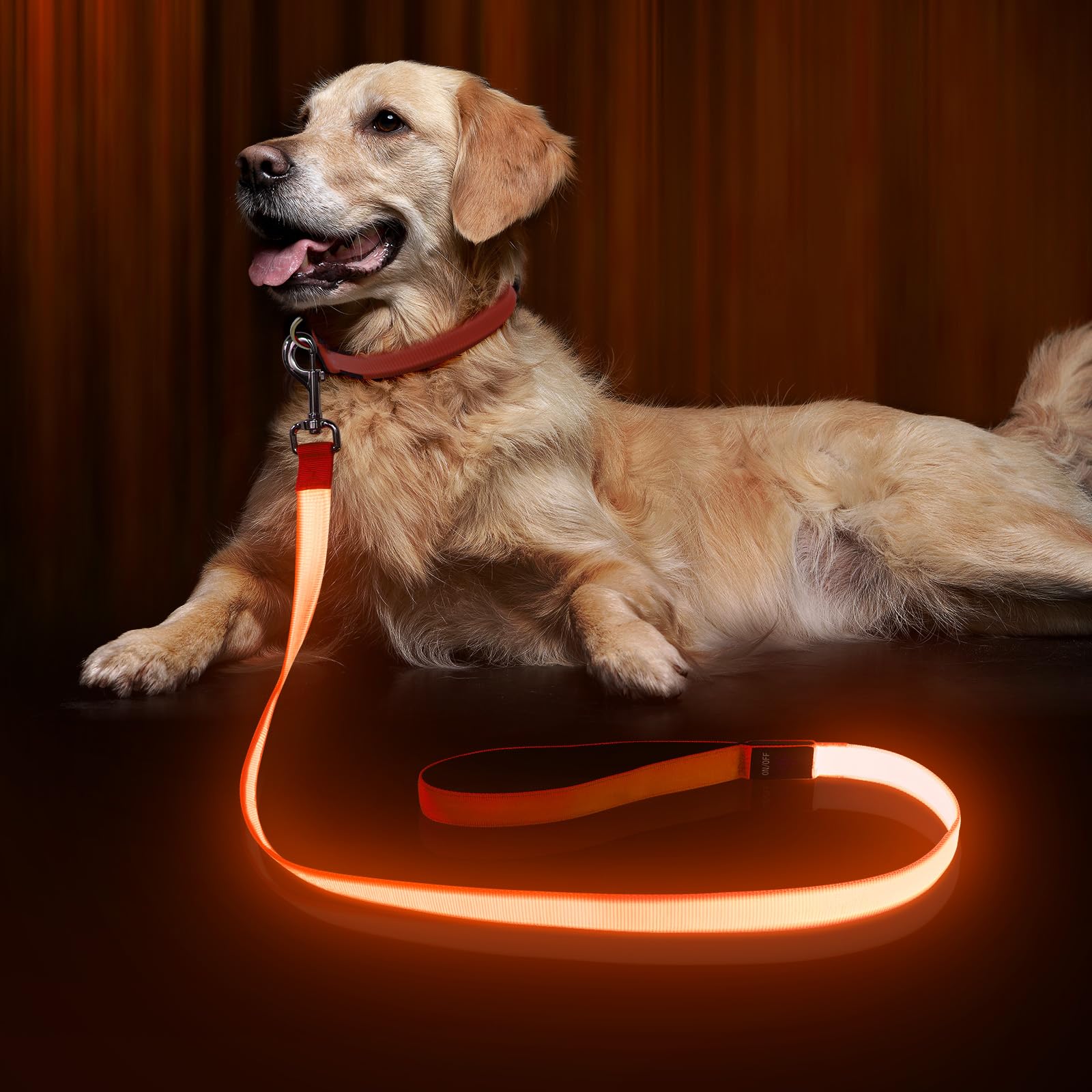 Correa LED para perro, correa de nailon recargable micro USB, correa de seguridad estándar para perros de 4 pies (naranja)