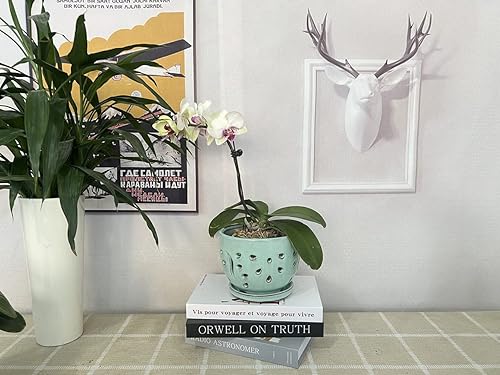 Miniatura 5 de Better-way Macetas de orquídeas con agujeros, recipiente redondo de cerámica para suculentas, maceta de mariposa, platillo, alféizar de ventana,