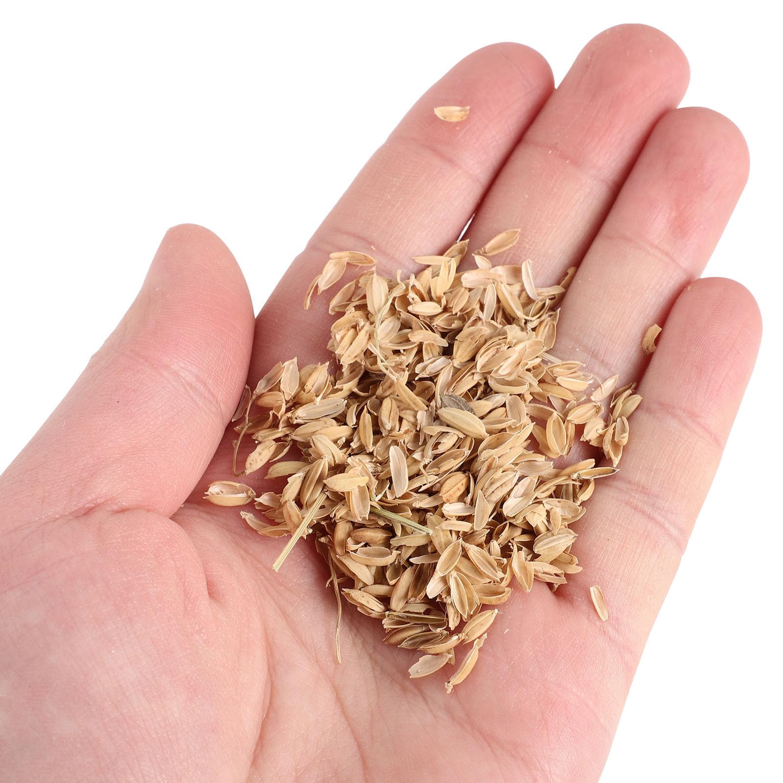 Material Natural para Nido de Gallinas 1 Juego 1, 5kg de Cáscara de Arroz | Reduce Olor, Cambio Rápido y Sencillo, Suave y Delicado para Hamsters y Mascotas Pequeñas