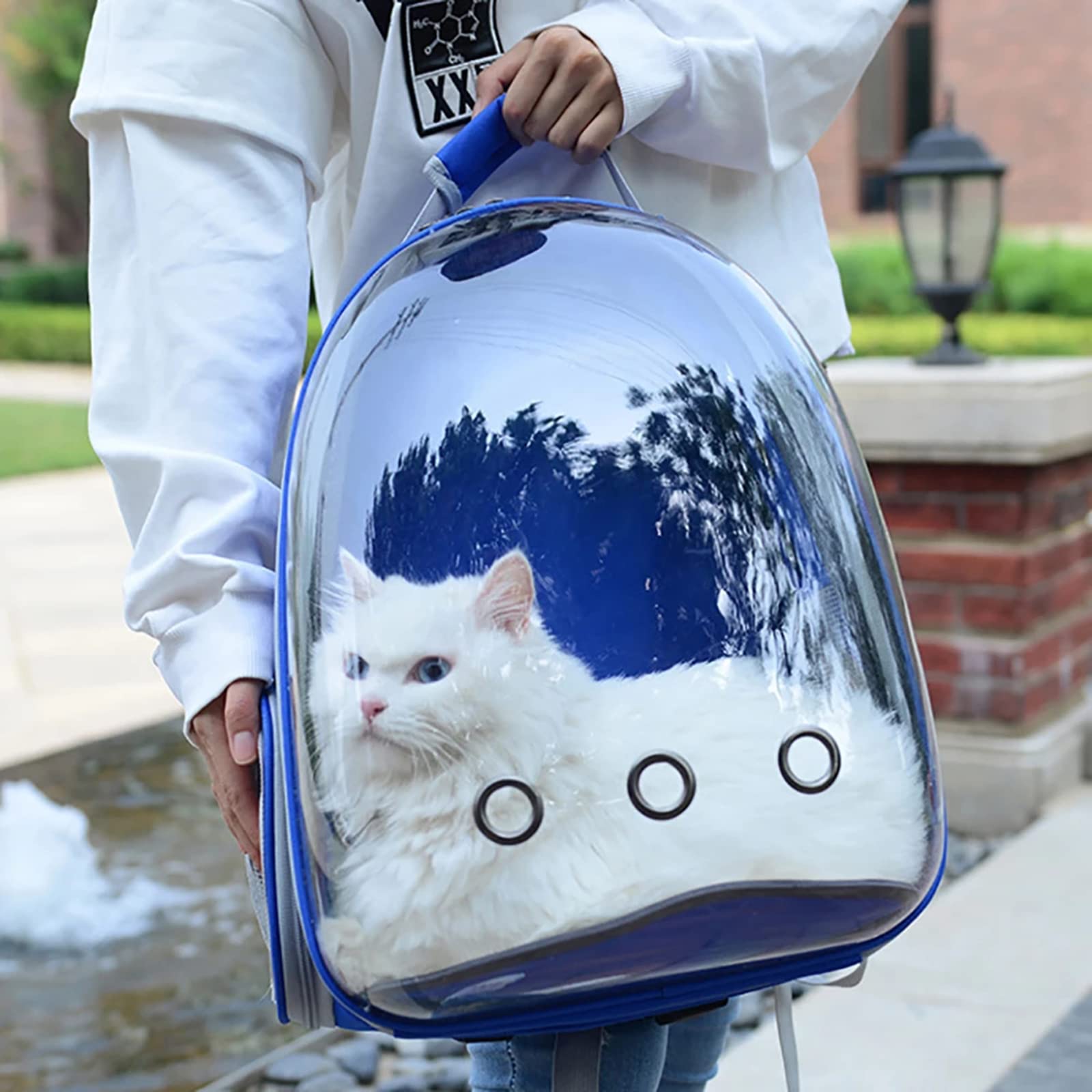 liuwei Mochila para Mascotas, Mochila Transparente para Gatos, Mochila portátil para Viajes al Aire Libre con ventilación para Perros,Gris