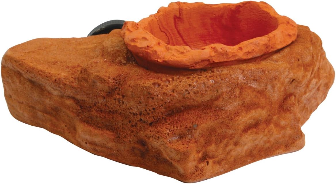 Food & Water Ledge Mojave - Magnetic Decor