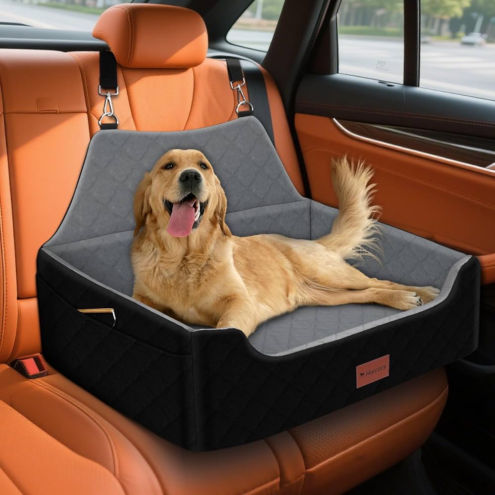 How To Travel With Large Dog? Expert Tips for Stress-Free Trips