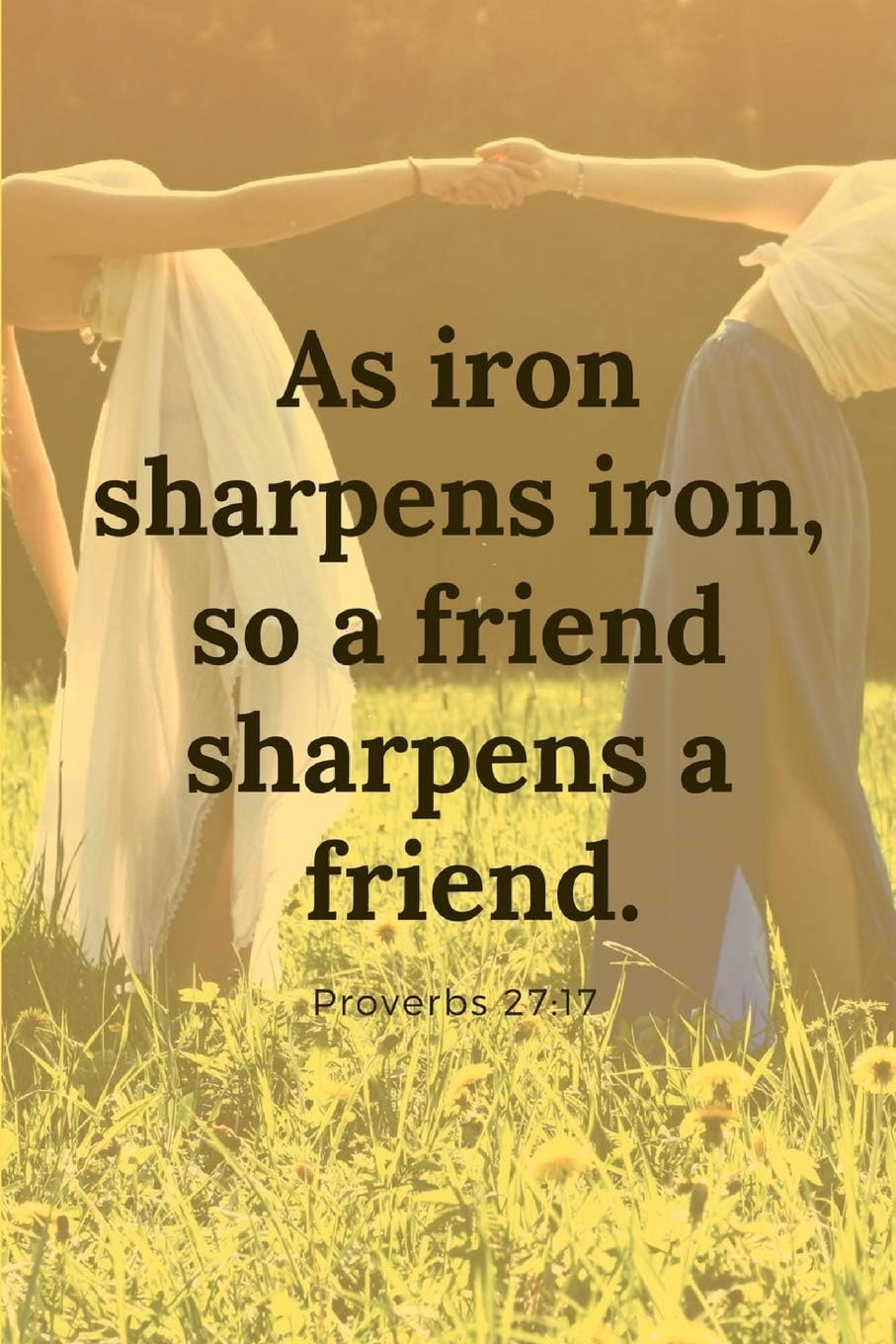 Proverbs 27:17 Notebook: Inspirational lined Paperback Notebook with Bible Verse about Friendship; 6x9 inches