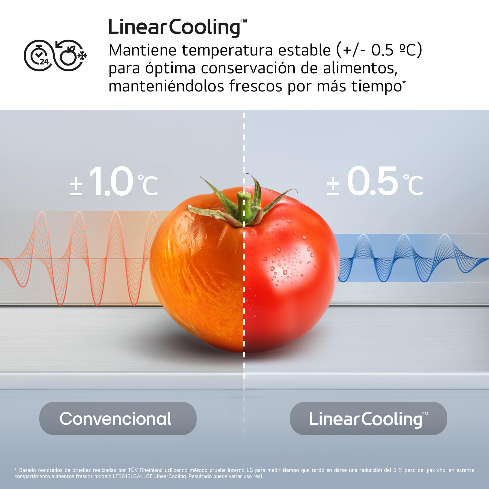 LG GBBSJ11DPY - Frigorífico Combi DoorCooling+, 1.86m, Clasificación D, Serie 200, Capacidad 333l, Inox antihuellas