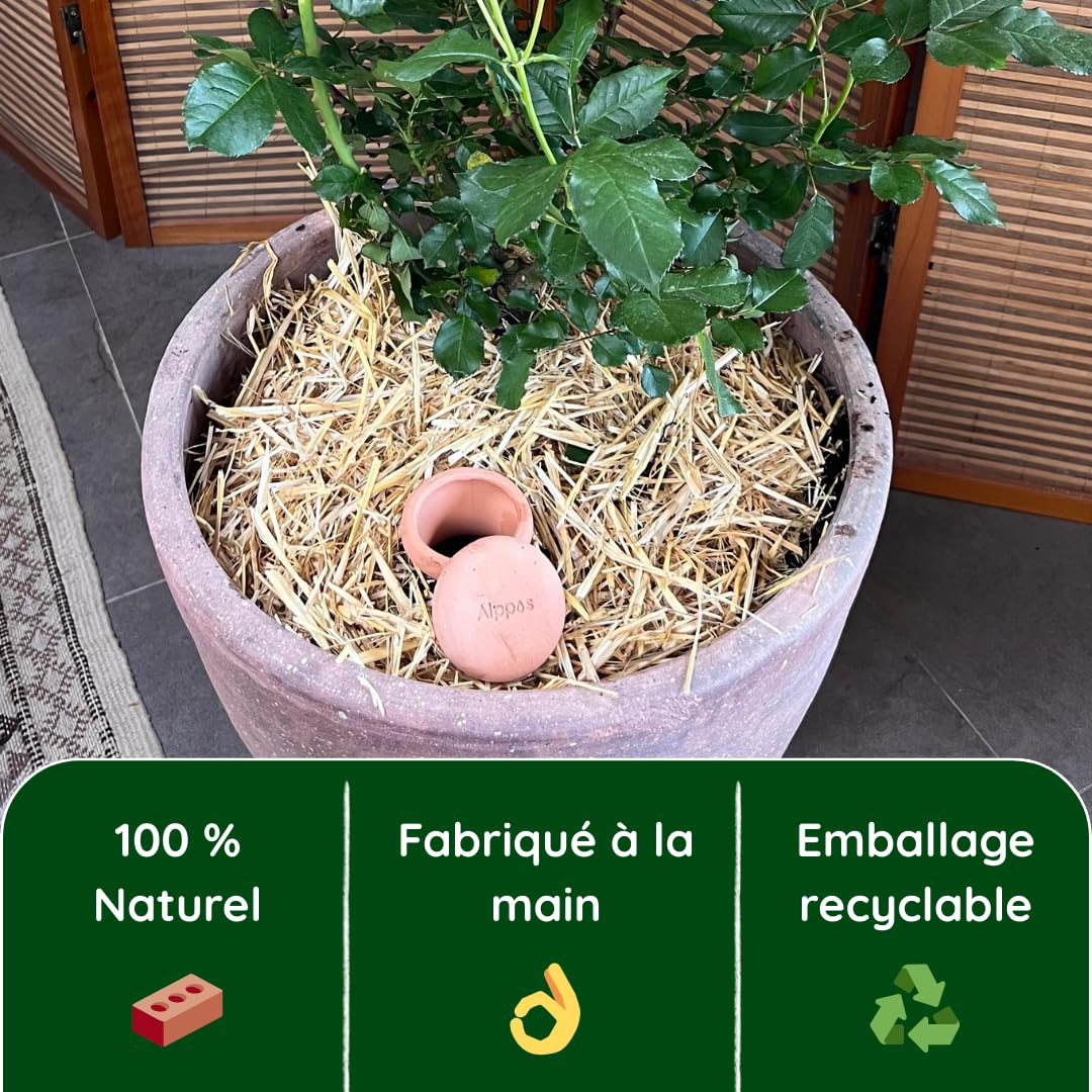 2 Oyas à enterrer 1,2 Litre en Terre Cuite avec Couvercle - ollas pour Plante intérieure et extérieure - Goutte à Goutte par capilarité